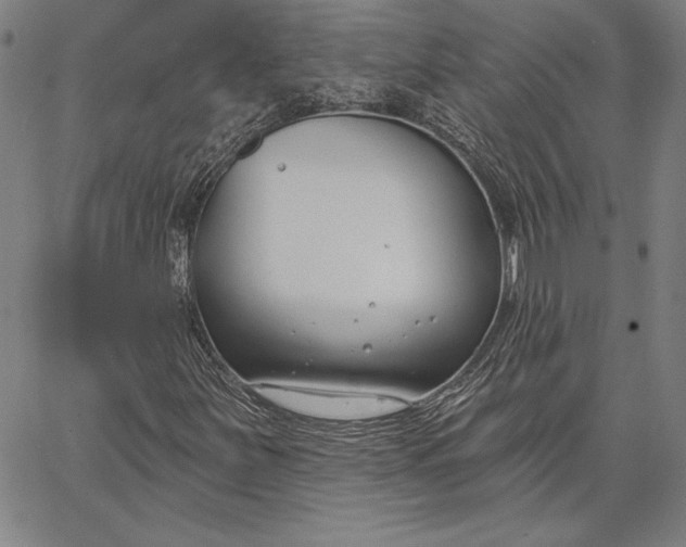 X0000067331251200604131652