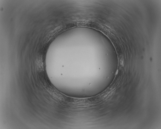 X0000067331252200604131652