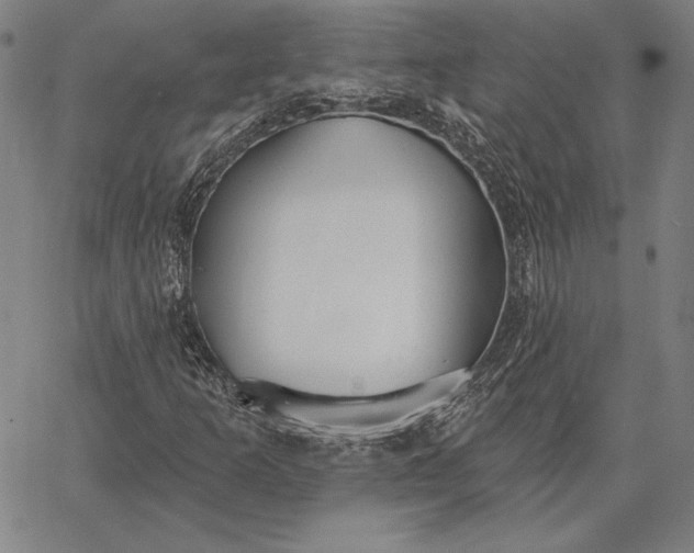 X0000067331253200604131652