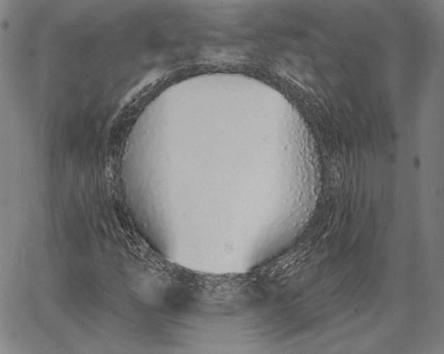 X0000067331254200604131652