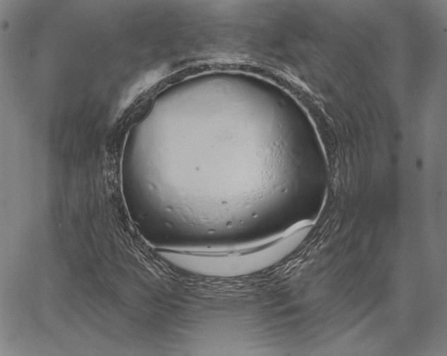 X0000067331255200604131652