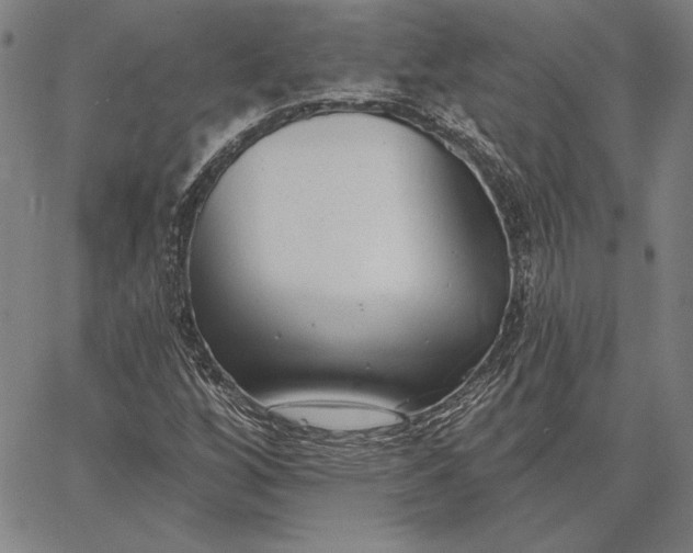 X0000067331256200604131652