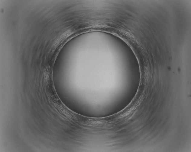 X0000067331257200604131652