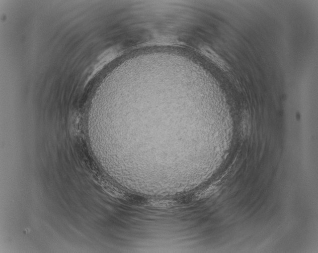 X0000067331258200604131652