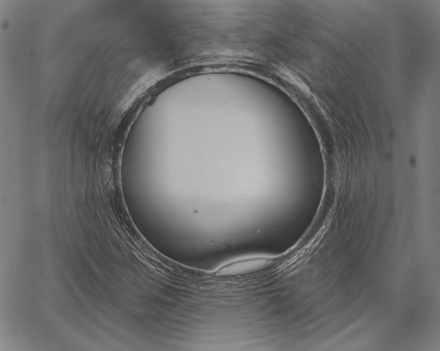 X0000067331259200604131652