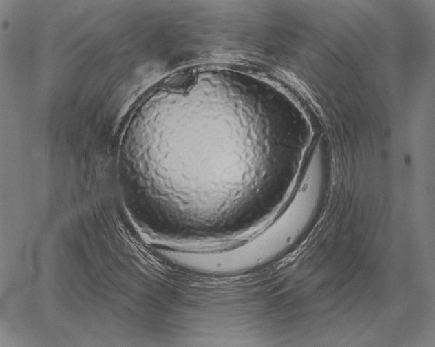 X0000067331260200604131652