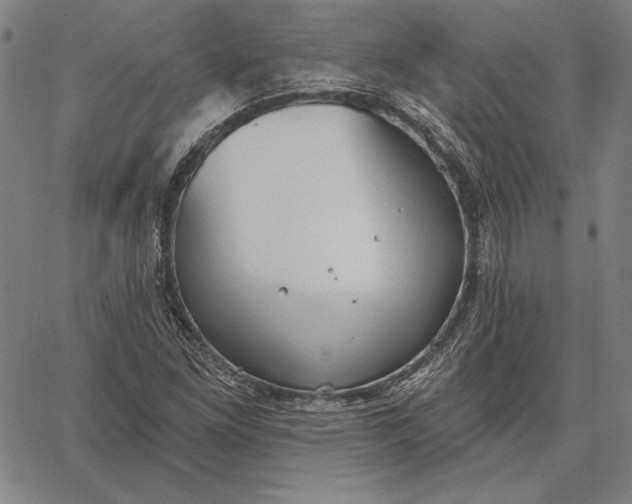 X0000067331261200604131652