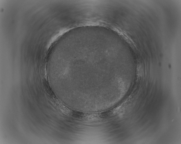 X0000067331262200604131652