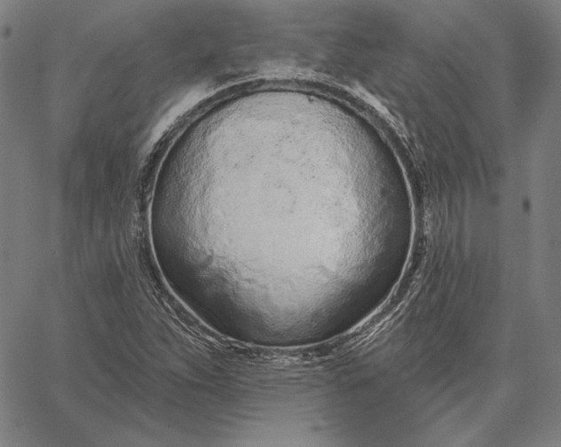 X0000067331263200604131652