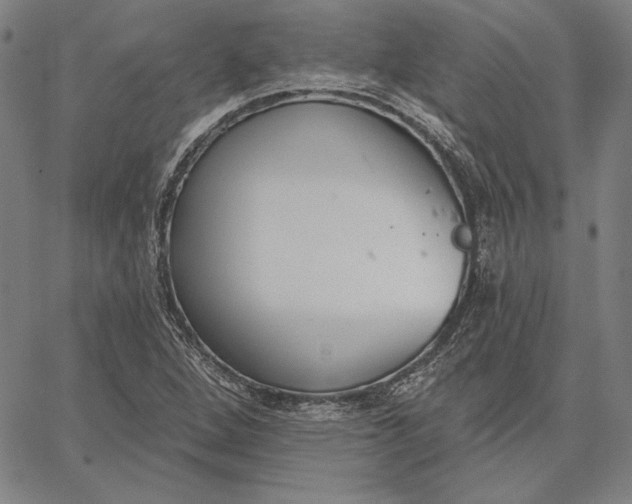 X0000067331264200604131652