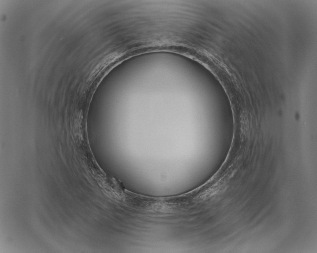 X0000067331265200604131652