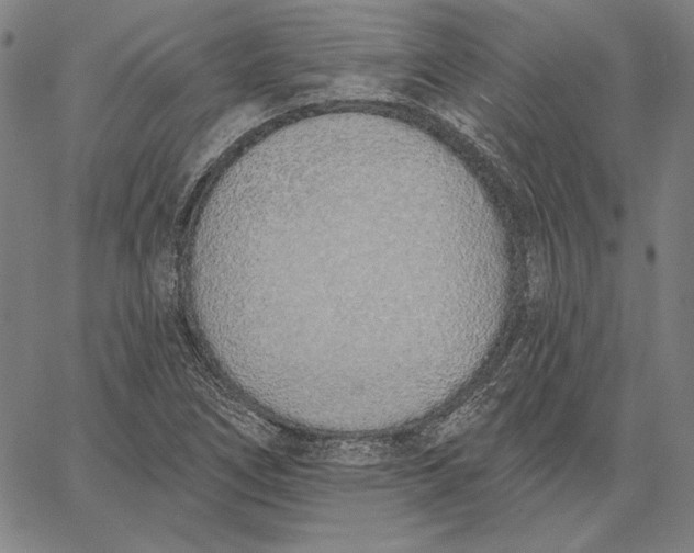 X0000067331266200604131652