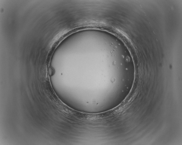 X0000067331267200604131652