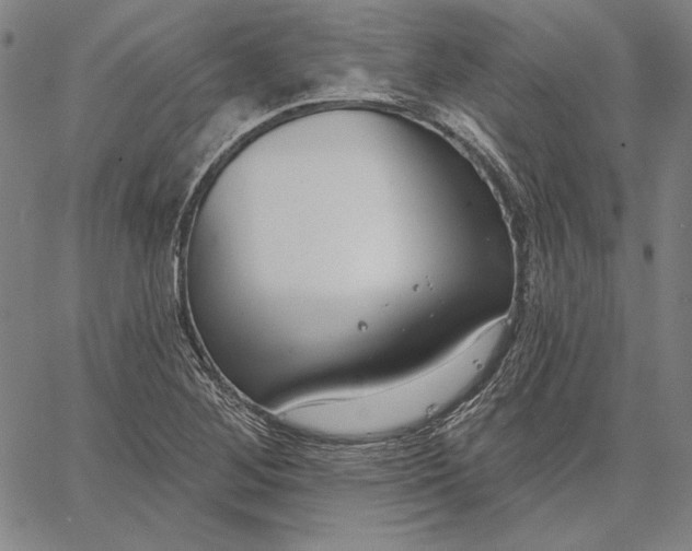 X0000067331268200604131651