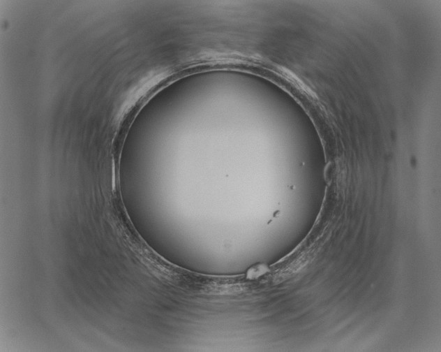 X0000067331269200604131651