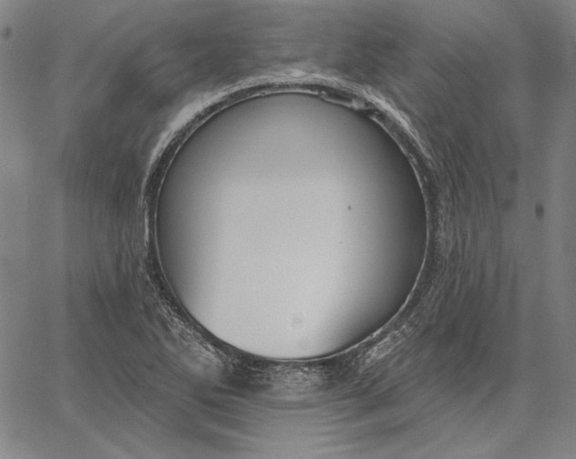 X0000067331270200604131651