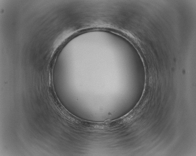 X0000067331271200604131651