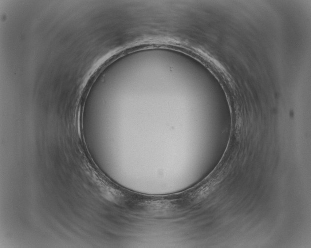 X0000067331272200604131651