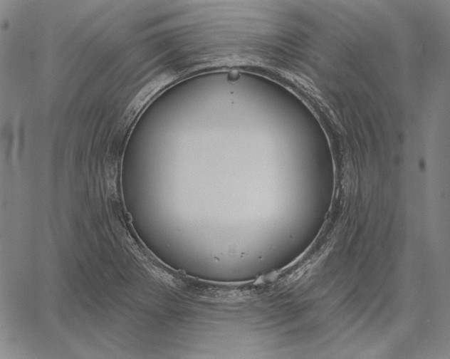 X0000067331273200604131651