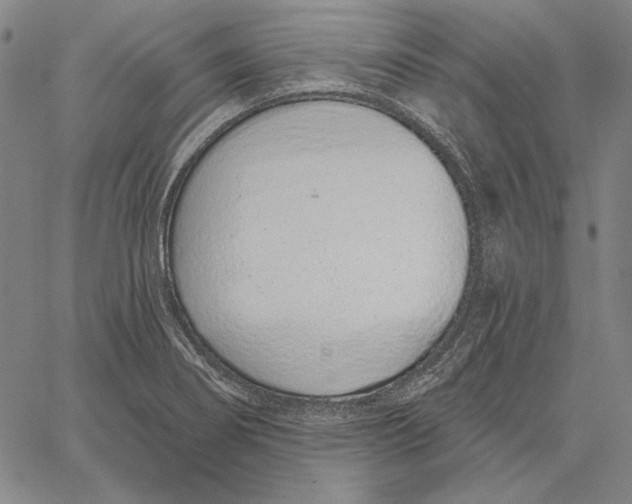 X0000067331274200604131651