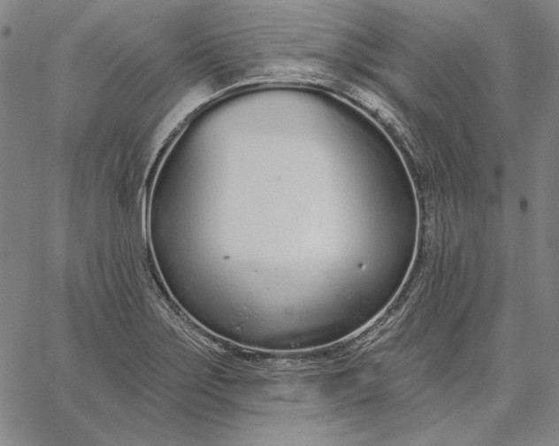 X0000067331275200604131651