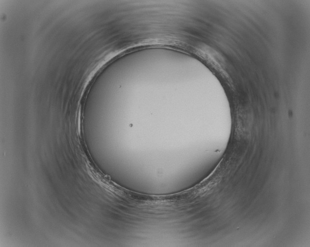 X0000067331276200604131651