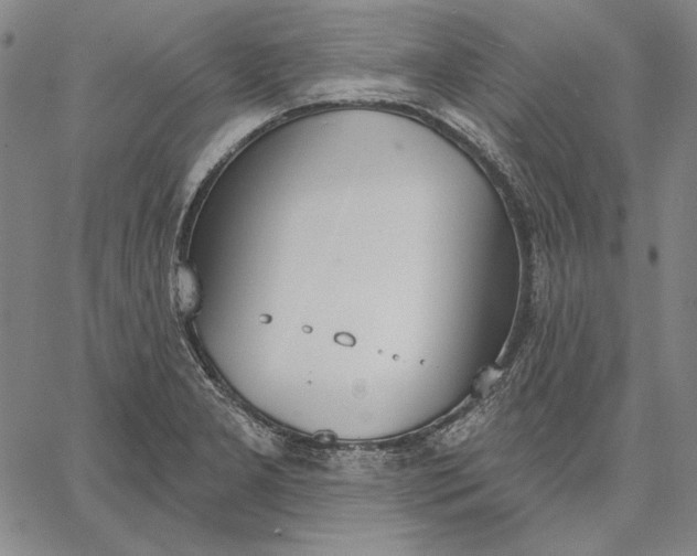 X0000067331277200604131651