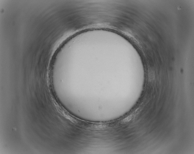 X0000067331278200604131651