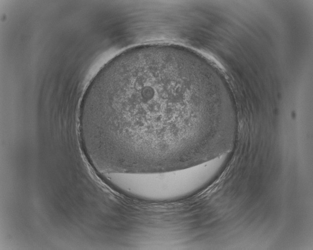 X0000067331279200604131651