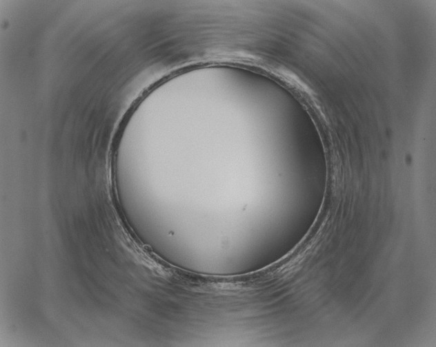 X0000067331280200604131651