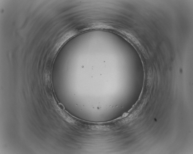 X0000067331281200604131651