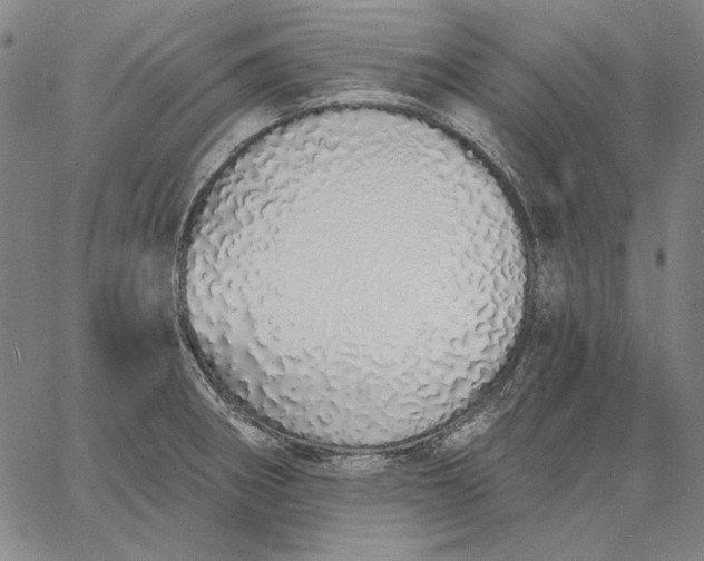 X0000067331282200604131651