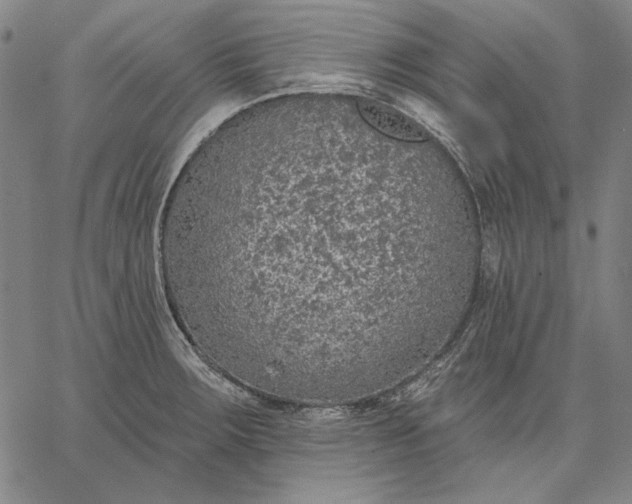 X0000067331283200604131651