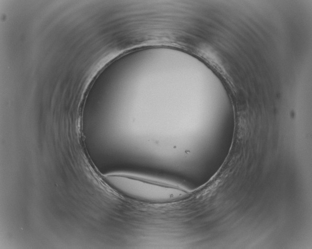 X0000067331284200604131651