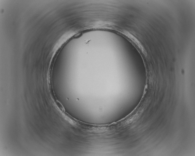 X0000067331285200604131651