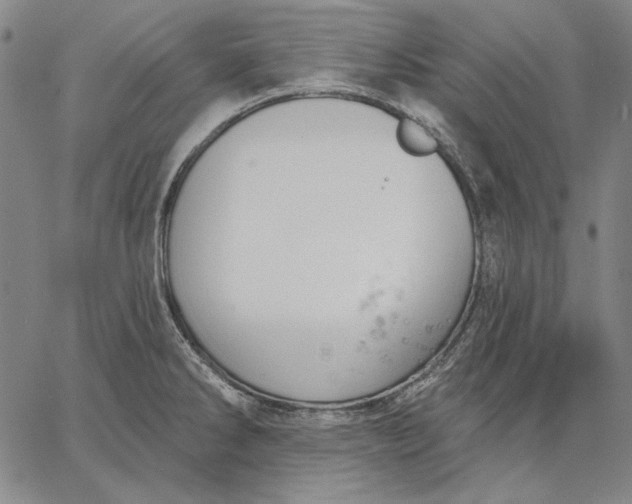 X0000067331286200604131651