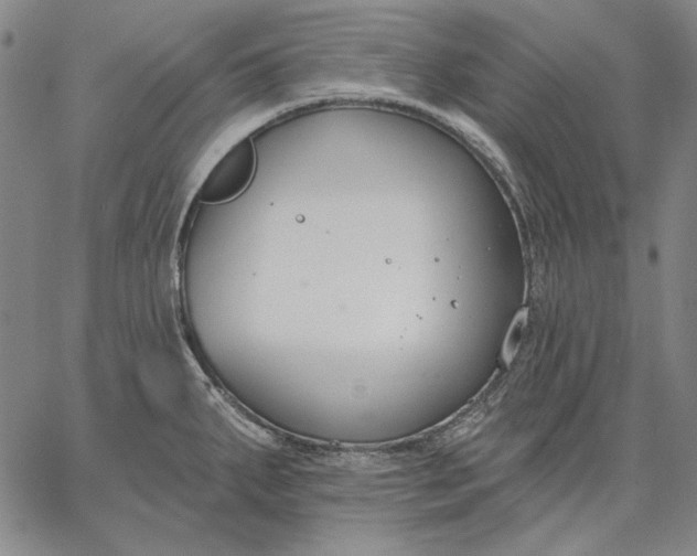 X0000067331287200604131651