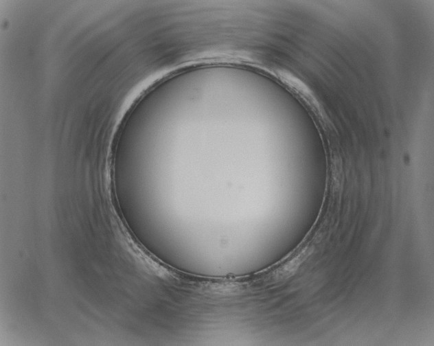 X0000067331288200604131651