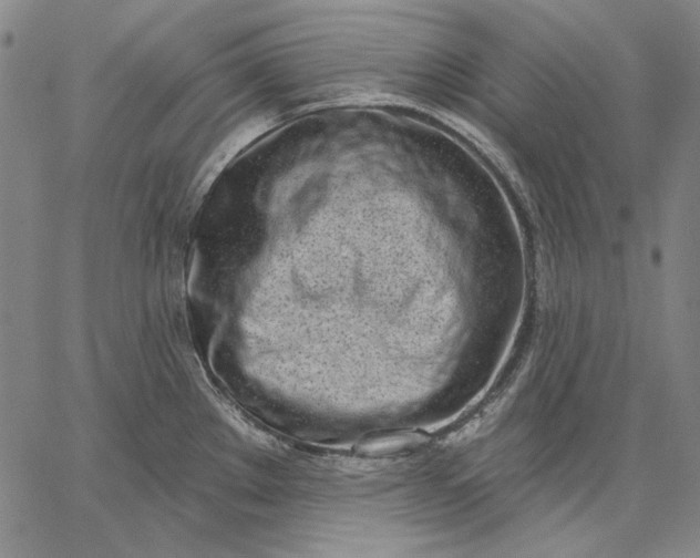 X0000067331289200604131651