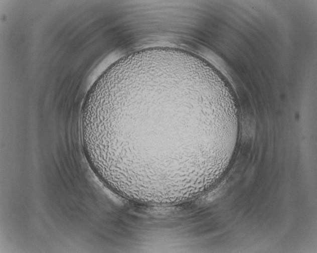 X0000067331290200604131651