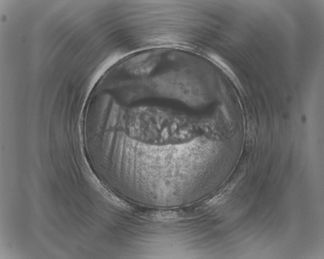 X0000067331291200604131651