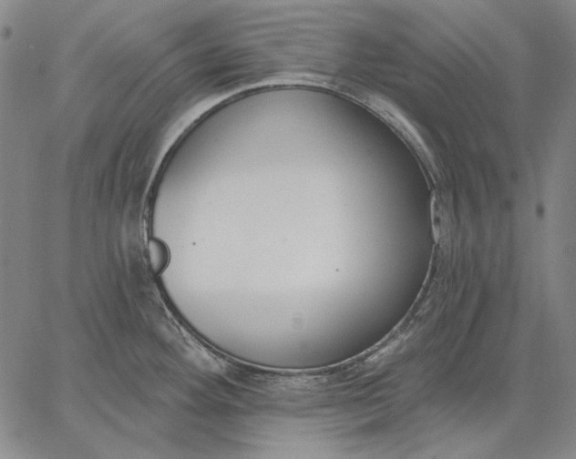 X0000067331292200604131651