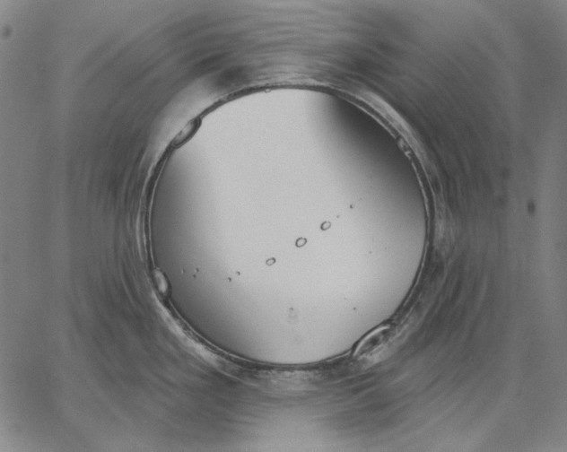 X0000067331293200604131651