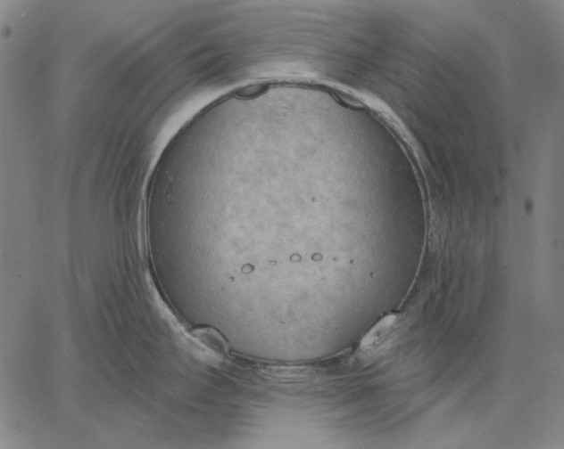 X0000067331295200604131651