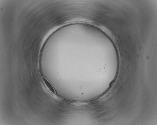 X0000067331296200604131651