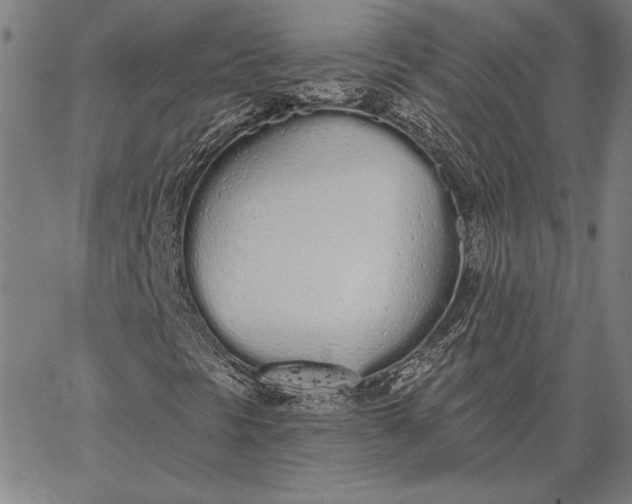 X0000067331297200604131650