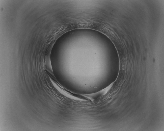 X0000067331298200604131650