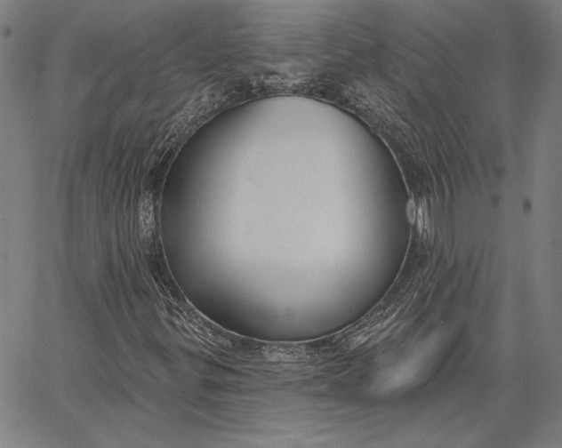 X0000067331299200604131650