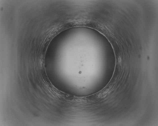 X0000067331300200604131650