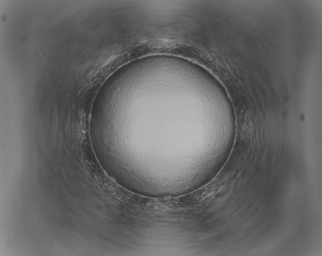 X0000067331301200604131650